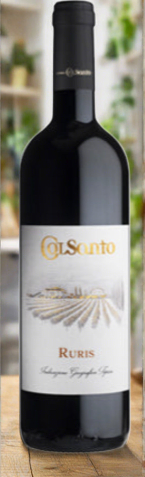 Umbria: Colsanto Montefalco Ruris