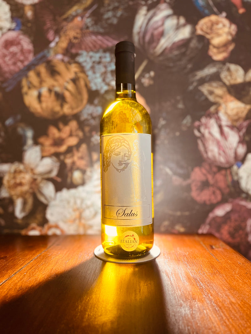 Abruzzo: Salus Pinot Grigio