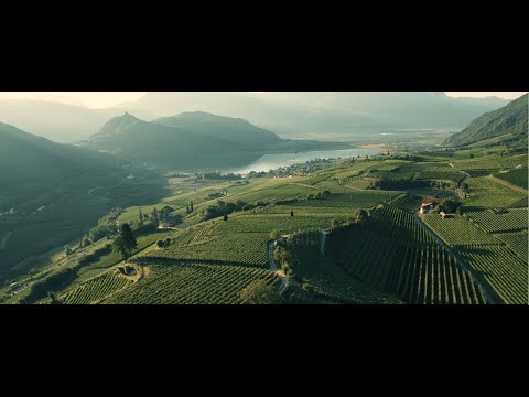 Alto Adige: Kaltern Pinot Grigio
